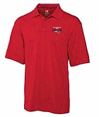 New England Patriots Cutter x26 Buck Super Bowl LI Champions DryTec Championship Polo - Red Fengyun,baseball caps,new era cap wholesale,wholesale hats